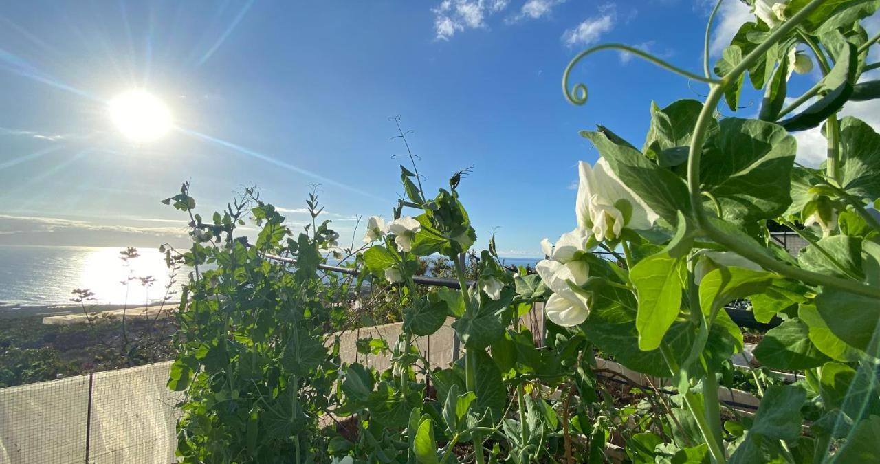 Finca Gaia La Segunda Гиа-де-Исора Экстерьер фото