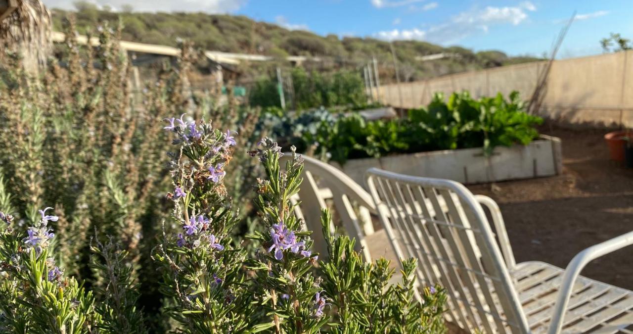 Finca Gaia La Segunda Гиа-де-Исора Экстерьер фото